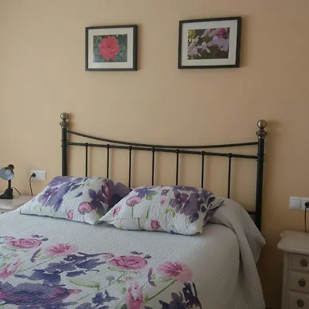 Luna Y Rosa El Albir