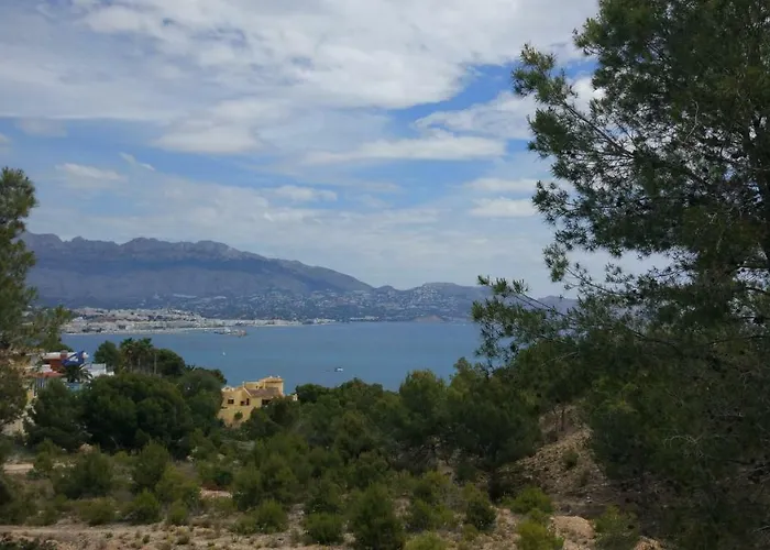 Luna Y Rosa * El Albir